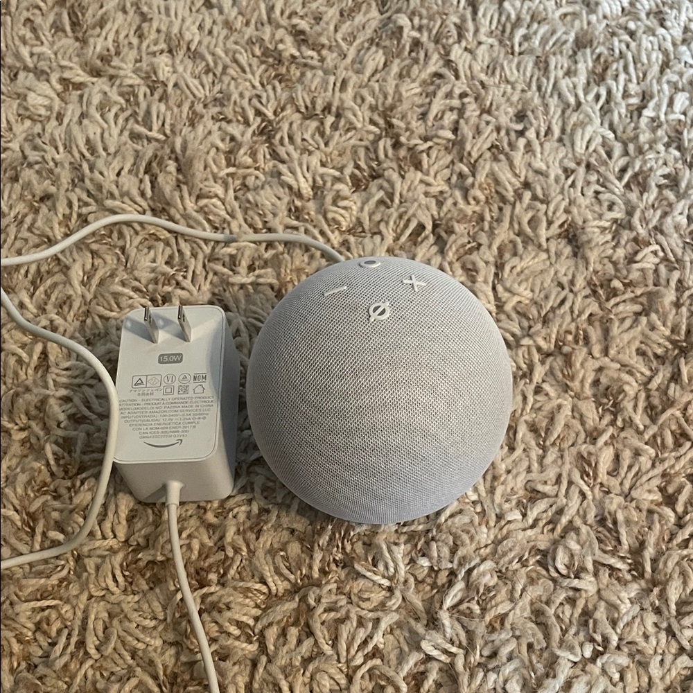 Amazon Echo Dot